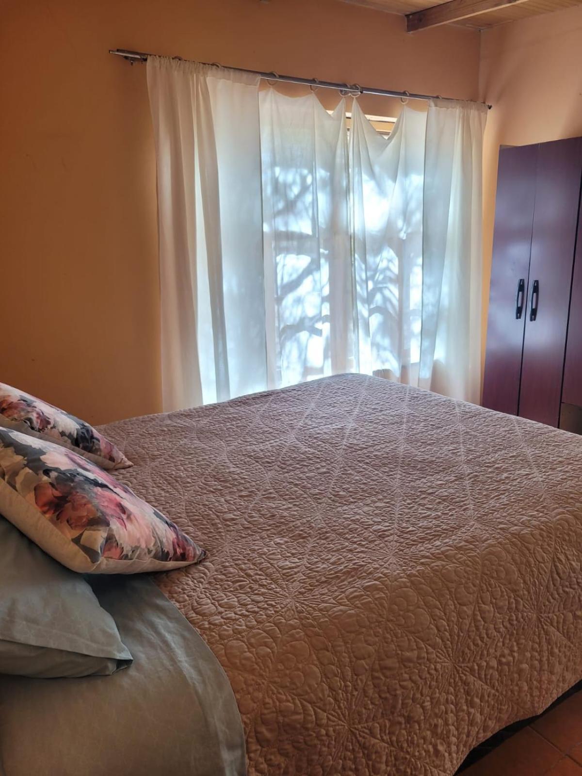סן פדרו דה אטקאמה Hospedaje Rural Casa De Felix מראה חיצוני תמונה