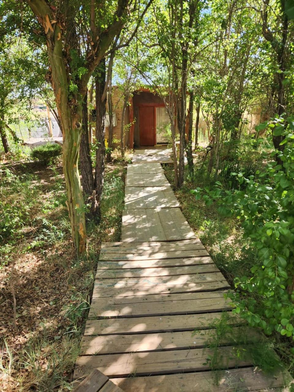סן פדרו דה אטקאמה Hospedaje Rural Casa De Felix מראה חיצוני תמונה