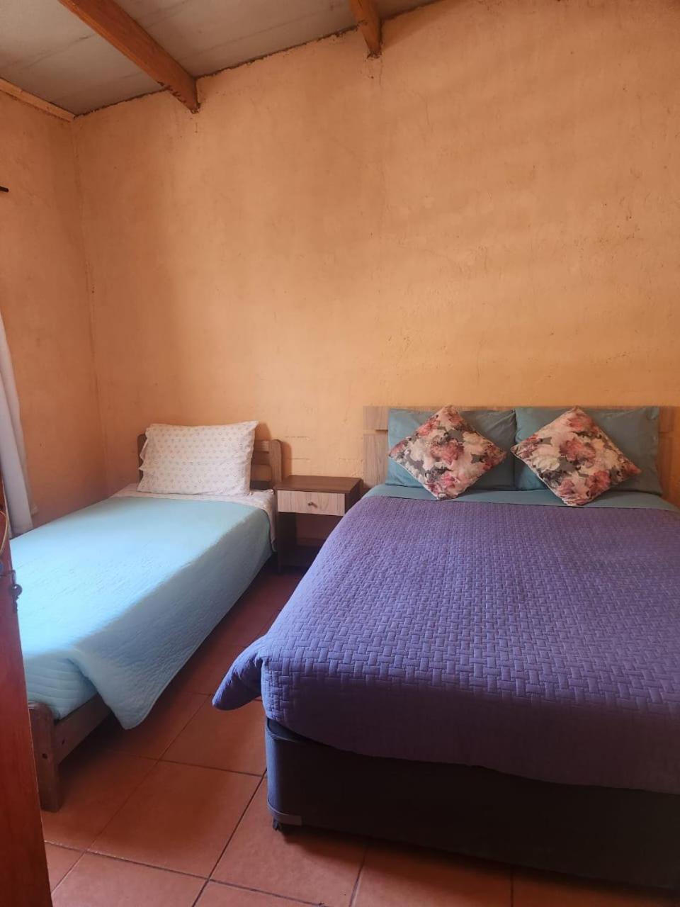 סן פדרו דה אטקאמה Hospedaje Rural Casa De Felix מראה חיצוני תמונה