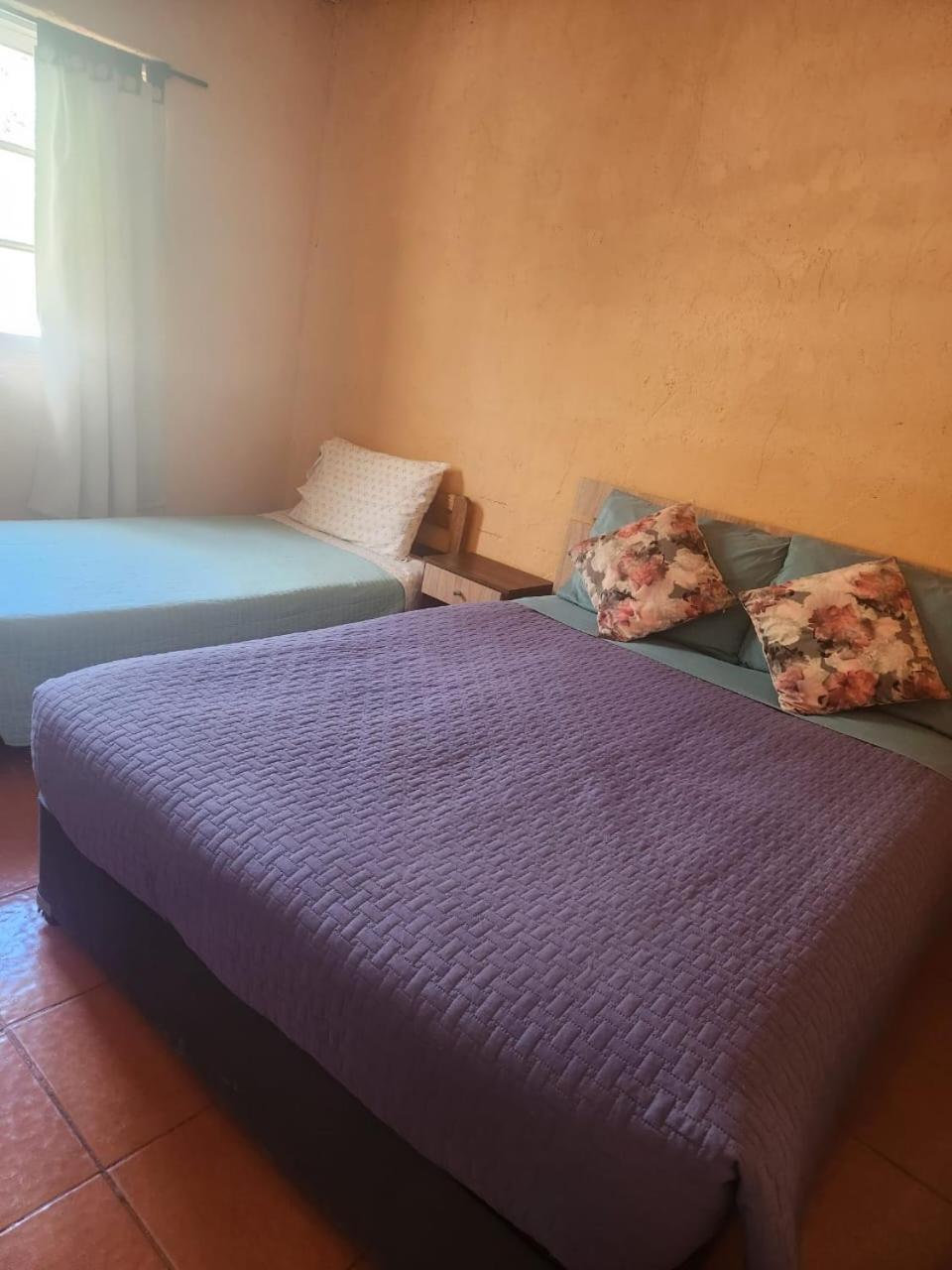 סן פדרו דה אטקאמה Hospedaje Rural Casa De Felix מראה חיצוני תמונה