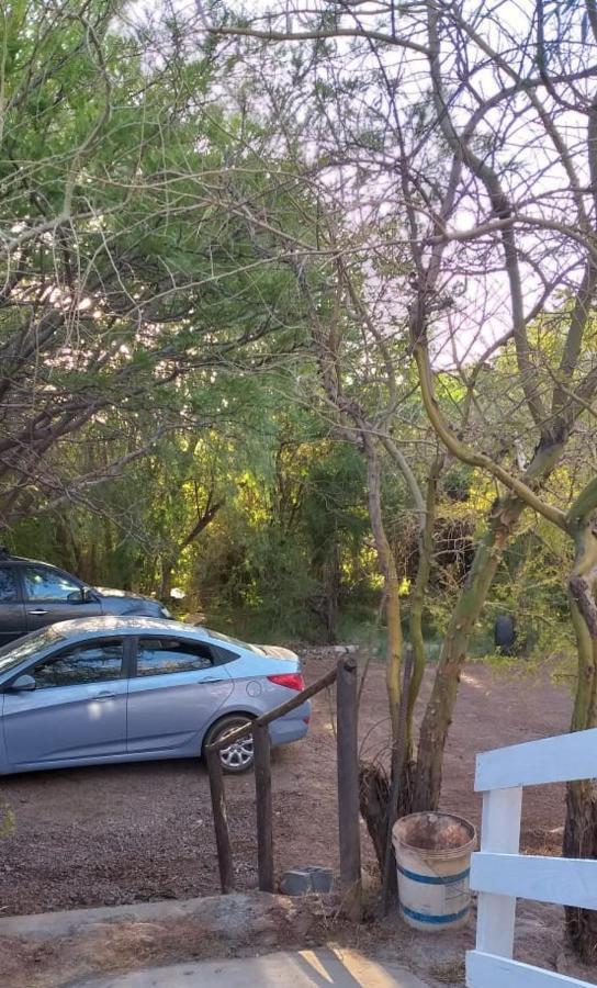 סן פדרו דה אטקאמה Hospedaje Rural Casa De Felix מראה חיצוני תמונה
